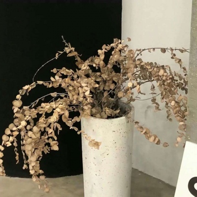 龙陵FurryQQ群介绍